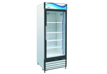 Glass Door Merchandiser Freezers