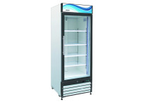 Glass Door Merchandiser Freezers